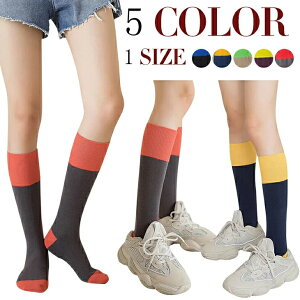 yԌ:3_w10%OFFzoCJ[ nC\bNX fB[X LbY C nC\bNX ̎q C Jt  킢 vC [t@[ Xj[J[ i o| FႢ 