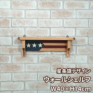 ̃EH[VFt W40×H14cmI ǖʎ[Ƌ { iǊ|VFt EH[VFt  䏊 rOCeA 킢 ؐ CރAJ  CX