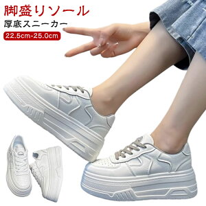 C Xj[J[ ꂢ  gAbv  V[Y אg Xj[J[ ₷ y Cq[Xj[J[ _bhXj[J[ ؍  EH[LO ʊw C  _CGb