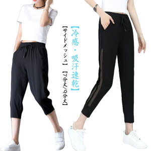    ڐG⊴ 7/9 Nbvhpc fB[X Ђ Nbvhpc e[p[hpc X|[c z {gX JWA TChbV X|[cEFA 