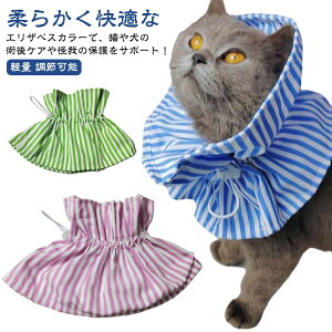 X^C \tg z t lR _炩 ȒP GUxXJ[ p Lp qL TCY  Lp   L D ی  pPA y ߉\ L pGUxXJ