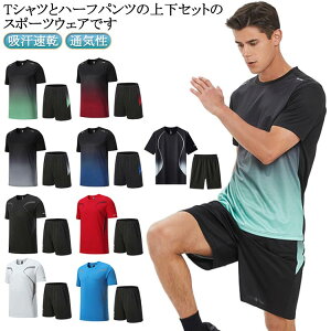 X|[cEFA TVc ㉺Zbg g[jOEFA Y 2_Zbg  n[tpc ĕ X|[cEFA  z n ʋC y hC  W 傫TCY