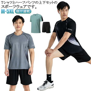 n ㉺Zbg z TVc jOEFA X|[cEFA  n[tpc ĕ g[jOEFA  2_Zbg ʋC Y y hC  W 傫TCY