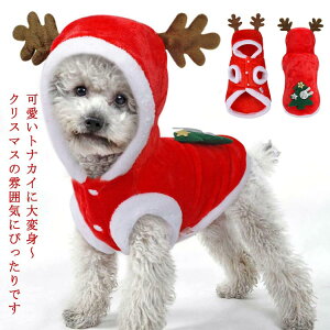 ybg   L giJC LOBe t[fB[ RX`[ߑ RXv p[J[ m 킢  hbOEFA LbgEFA NX}Xߑ ʐ^  ^  