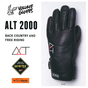16-17 VOLUME GLOVES ALT 2000 GORE-TEX SAebNX y2017 {[ O[u Xm[{[hzy {Kiz