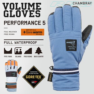 17-18 fVOLUME GLOVES PERFORMANCE5 ptH[}Xt@Cu LIMITED LINE GORE-TEX SAebNX yXm[{[h O[uzy{[O[u 2018zy{Kiz