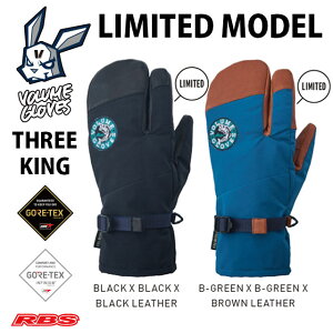 VOLUME GLOVES 22-23 THREE KING LIMITED {[ X[LO ~ebh GORE-TEX SAebNX yXm[{[h O[u ~gzy {Kiz