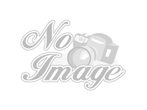 S4-008RS4 �yYOKOMO/���R���z YZ-4S�p S4 ���� �T�X�A�[�� L/R (�O���t�@�C�g���^)