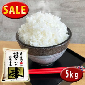 セール中! 7年産 埼玉でとれたお米5kg