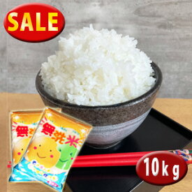 セール中! 7年産 無洗米10kg(5kg×2袋) マイスター監修のお米