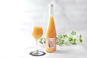 (MATSUO)/PE-500-1/̓ 60% ʏ`hN 500ml 1{ a̎RY R Z  p EIɐlC