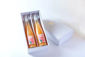 (MATSUO)/PE-500-2-GF/̓ 60% ʏ`hN 500ml 2{ MtgZbg() a̎RY R Z  p EIɐlC