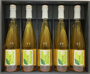 y{z(MATSUO)/UME-500-5-GF/썂~13% ʏ`hN 500ml 5{ MtgZbg() a̎RY  p ܂Ŕ~(mAł)
