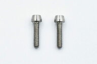 【ネコポス対応】Reve D（レーヴ・ディー）/RT-C28A/SPMチタン製M2×8mm キャップスクリュー ※旧品番:RT…