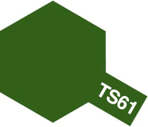 �^�~��/TS-61�@NATO�O���[��