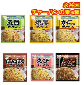 チャーハンの素 永谷園 炒飯 チャーハン 詰め合わせ 6種類 18人前 粉末 ガーリック 時短料理 簡単調理 五目 焼豚 えび かに アレンジ ギフト 常温 フライパン 仕送り 一人暮らし ポスト投函 送