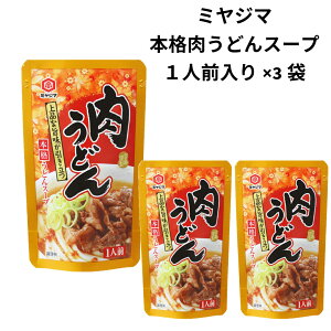 うどんスープ うどんつゆ 素 3袋 3人前 肉うどん 濃縮 スープ 本格 出汁 使い切り インスタント お取り寄せ グルメ 地域限定 ポッキリ 1000円 送料無料