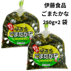 高菜漬け 九州 高菜 伊藤食品 高菜漬物 250g 2袋 大容量 ごまたかな 九州特産 漬物 大量 高菜油炒め しょうゆ漬 お茶漬け アレンジレシピ 御飯の友 おつけもの おつまみ お酒 仕送り 一人暮らし ポスト投函 送料無料