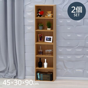 [bN 2Zbg 45×30×90 [ bN fBXvC ؖڒ VFt ʏ Eߏ ߑP[X {I I q l炵 [{bNX J[{bNX I RpNg Ebh