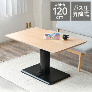 ~e[u _CjOe[u teBOe[u iK y_  KX 120cm ؖڕ {r k ` e[u rO  _CjO _CjOe[u H