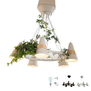 gD[ [g \CZbg LEDdt 邳 dgRt ԐڏƖ Cg(s)yz