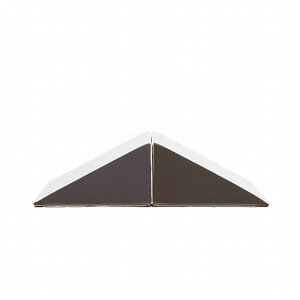 PLAYc[+ Ro mN tFCX ׂ2 1 R ɂ ߋ q (s)yz