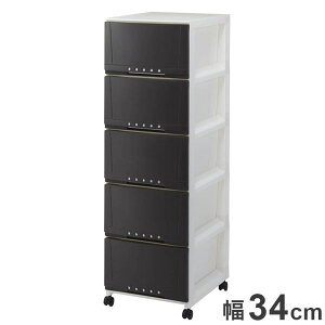 Vn vtBbNX [P[X 3405 uE ߗގ[ [P[X `FXg N[[bg[ [ [ tenma 34cm s42cm 108cm(s)yz