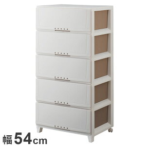 Vn vtBbNX [P[X 5405 Jv`[m ߗގ[ [P[X `FXg N[[bg[ [ [ tenma 54cm s42cm 108cm(s)yz