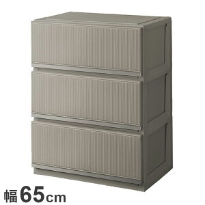 Vn vtBbNX X^CP[X 6503[^ O[ ߗގ[ [P[X `FXg N[[bg[ [ [ tenma 65cm s45cm 85cm(s)yz