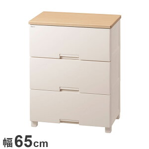 Vn tBbcvX r^Cv F6533D -v ߗގ[ [P[X `FXg N[[bg[ [ [ tenma 65cm s41cm 85cm(s)yz