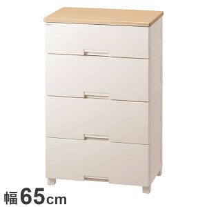 Vn tBbcvX r^Cv F6534D -v ߗގ[ [P[X `FXg N[[bg[ [ [ tenma 65cm s41cm 105cm(s)yz