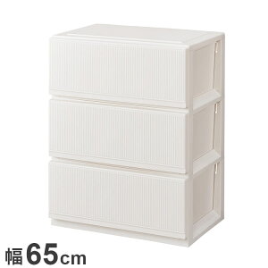 Vn vtBbNX X^CP[Xg 6503[^ zCg ߗގ[ [P[X `FXg N[[bg[ [ [ tenma 65cm s45cm 85cm(s)yz