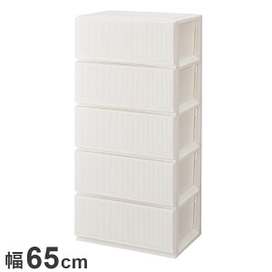 Vn vtBbNX X^CP[Xg 6505[^ zCg ߗގ[ [P[X `FXg N[[bg[ [ [ tenma 65cm s45cm 139cm(s)yz