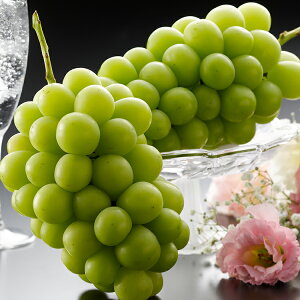 シャインマスカット 山梨・長野産 2房 お歳暮 冬ギフト 年末 年始 年末年始 お取り寄せグルメ プレゼント 熨斗 のし 贈り物 お祝い 冠婚葬祭 御見舞 食品(代引不可)【送料無料】