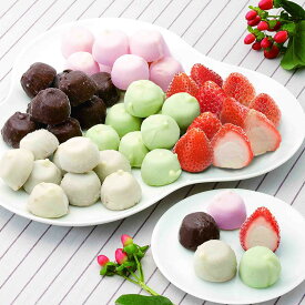 チョコアイスボール&苺アイス 食品 ギフト プレゼント 贈答 熨斗 のし 贈り物 記念日 お祝い 冠婚葬祭 内祝 御祝 御見舞 快気祝 御仏前 志 お供 御歳暮 御中元(代引不可)【ポイント10倍】【送料無料】