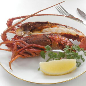 ⓀɐCVn[tJbg Ε ~Mtg N Nn NNn 񂹃O v[g l ̂ 蕨 j  䌩 Hi(s)y|Cg10{zyz