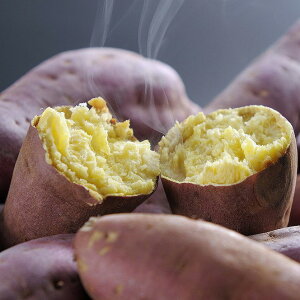 F{ p ug͂邩v Ε ~Mtg N Nn NNn 񂹃O v[g l ̂ 蕨 j  䌩 Hi(s)yz