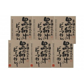 「三田屋総本家」 黒毛和牛のビーフカレー6箱セット(ギフト箱) 食品 ギフト プレゼント 贈答 熨斗 のし 贈り物 記念日 お祝い 冠婚葬祭 内祝 御祝 無地 出産内祝 結婚内祝 御見舞 快気祝 御仏前(代引不可)【送料無料】