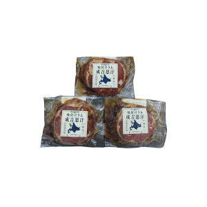 kC tWMXJ   WMXJ Ε ~Mtg N Nn NNn 񂹃O v[g l ̂ 蕨 j  䌩 Hi(s)