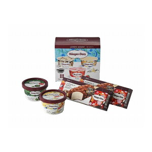 ハーゲンダッツ バラエティーセット ギフト スイーツ デザート お菓子 人気 おすすめ お歳暮 冬ギフト 年末 年始 年末年始 お取り寄せグルメ プレゼント 熨斗 のし 贈り物 食品(代引不可)【