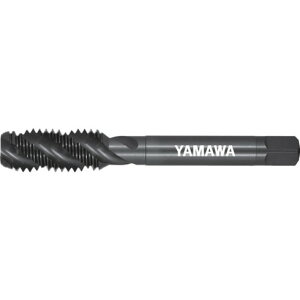 } |pXpC^bv E-SP P2 M14X2 } ESPP2M14X2 ؍H ˂؂H XpC^bv(s)yz