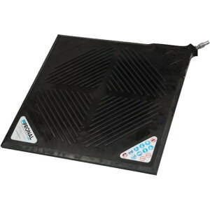 C[O CWbL teBOobN C[O JCLT19 זpi EC` WbL zp qpWbL(s)yz