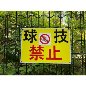 剤 [U[s[`TCN SEFY-200 A3(100) 剤 SEFY200A3 ItBX Zݗpi ItBXi ~l[^[(s)yz
