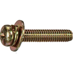 TRUSCO ixglW P=3 N[g M4×12 20{ (ol+JISbV[tL) ʃpbN TRUSCO Y8310412  z ˂ {g ibg ˂(s)