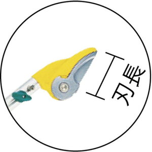 TV } |[X3i Arn TV NO336 |pi Ήpi }؂nT~(s)yz