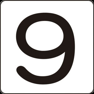 Ώ\ XebJ[ 9 HS-95P 60×60mm 5g A~ {Ώ\ Spi W W TCv[g(s)