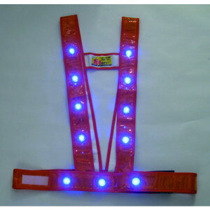 ~YPC LED^XL^SxXgufXv(IW/LED) ~YPC ی ƕ SxXg(s)yz