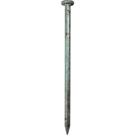ダイドーハント Z 太メ釘 ZN65 1Kg入リ ダイドーハント 金物 建築資材 建築金物 木造住宅建築金物(代引不可)