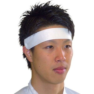 S[hEC AZg[ (1()=100) PASWBXZN Ppi ΍pi E񌳗p(s)y|Cg10{zyz