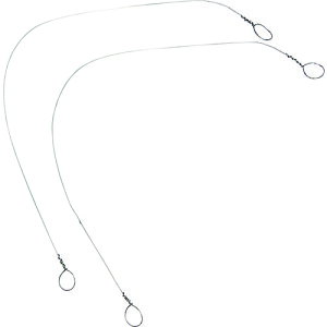 Obg փjN SC-10p SC10APH d  󈳍H ^H@B dM MH@(s)